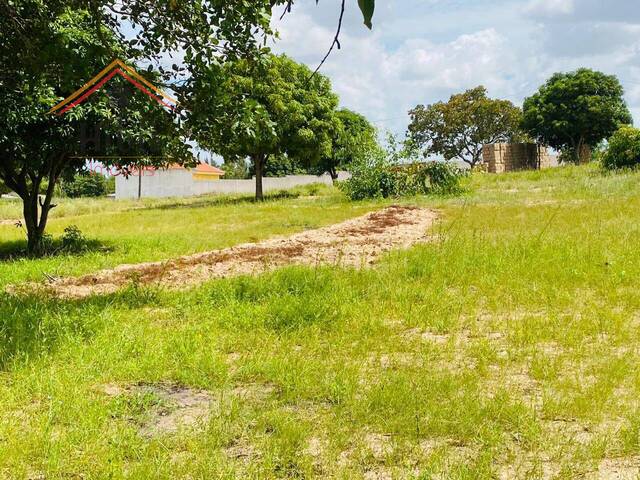 #2318 - Terreno para Venda em Maputo - Maputo - 2