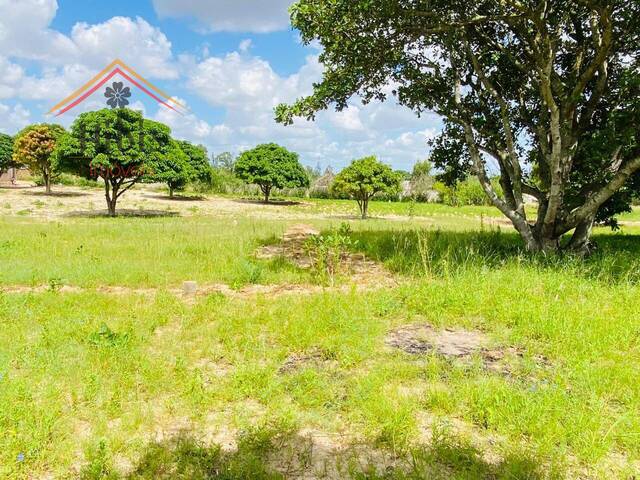 #2318 - Terreno para Venda em Maputo - Maputo - 3