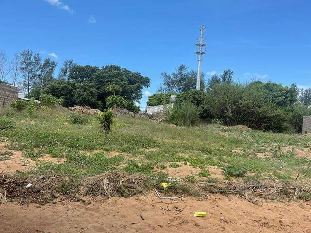 #2346 - Área para Venda em Maputo - Maputo - 3
