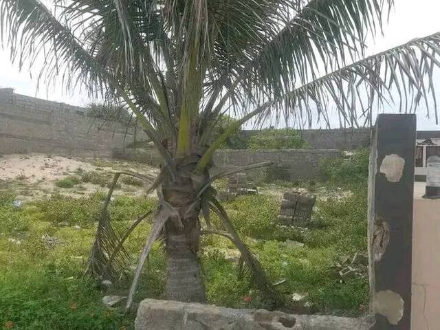 #2356 - Área para Venda em Inhambane - Inhambane - 1