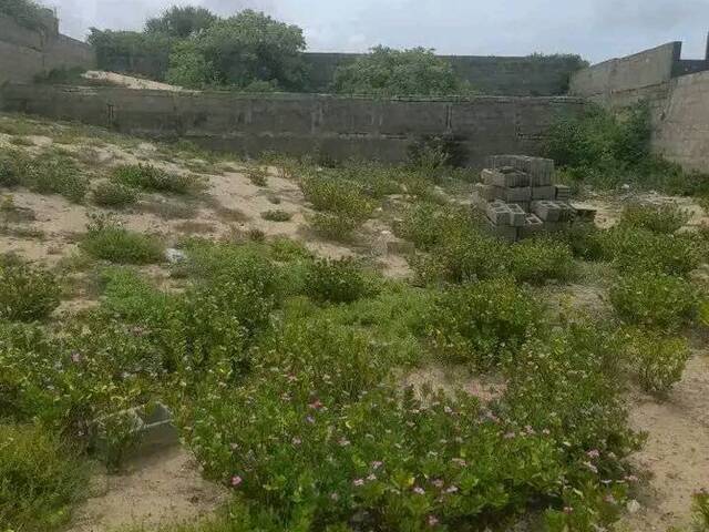 Área para Venda em Inhambane - 5