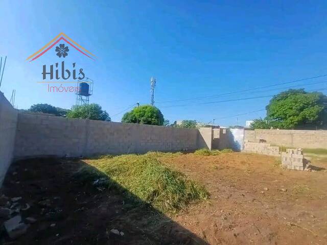 Venda em Mahotas - Maputo