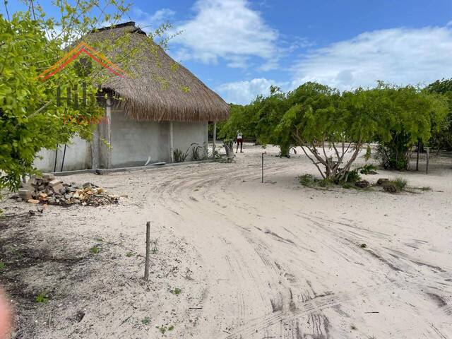 #2465 - Terreno para Venda em Inhambane - Inhambane - 2