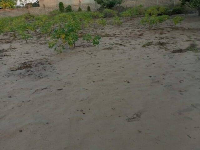 #2547 - Terreno para Venda em Maputo - Maputo - 3