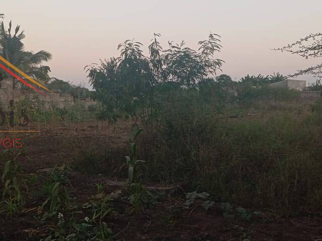 Terreno para Venda em Boane - 4
