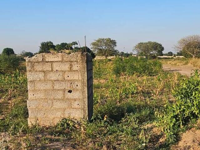 #2597 - Terreno para Venda em Maputo - Maputo - 1