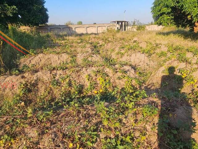 #2597 - Terreno para Venda em Maputo - Maputo - 3