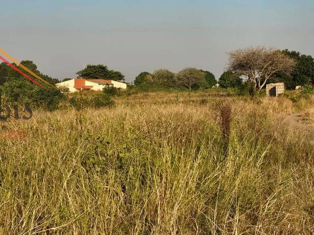 Terreno para Venda em Boane - 4