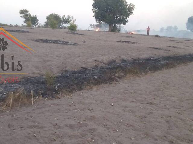 #2625 - Terreno para Venda em Bilene - Gaza - 1