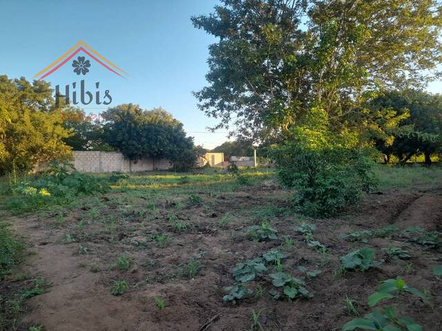 #2702 - Terreno para Venda em Maputo - Maputo - 3