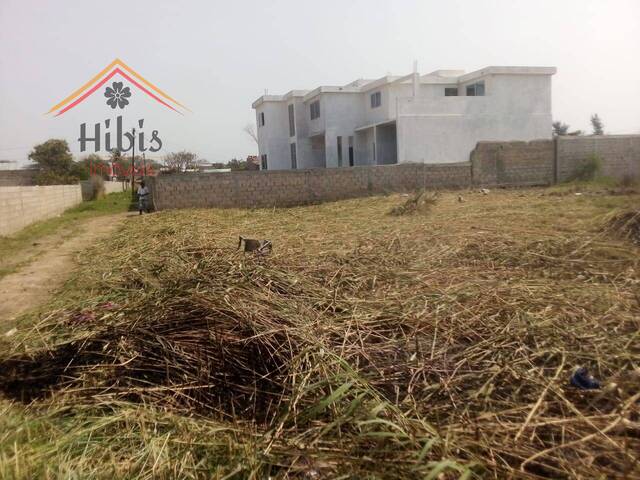 #2725 - Área para Venda em Maputo - Maputo - 3