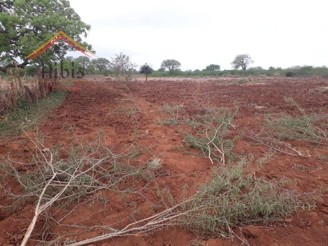 Terreno para Venda em Matutuine - 5