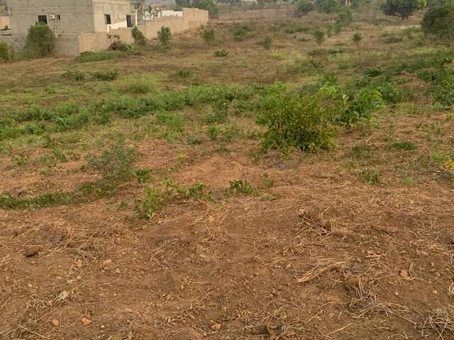 #2814 - Área para Venda em Chimoio - Manica - 2