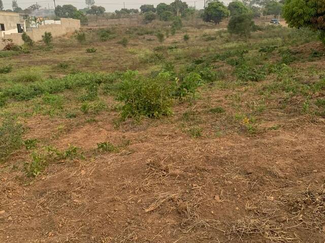 #2814 - Área para Venda em Chimoio - Manica - 3
