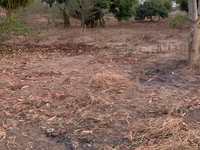 Área para Venda em Chimoio - 4