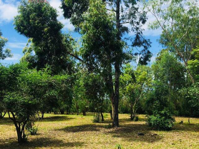 #2826 - Área para Venda em Marracuene - Maputo - 1