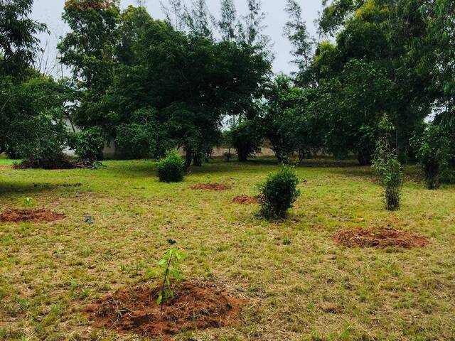 #2826 - Área para Venda em Marracuene - Maputo - 2