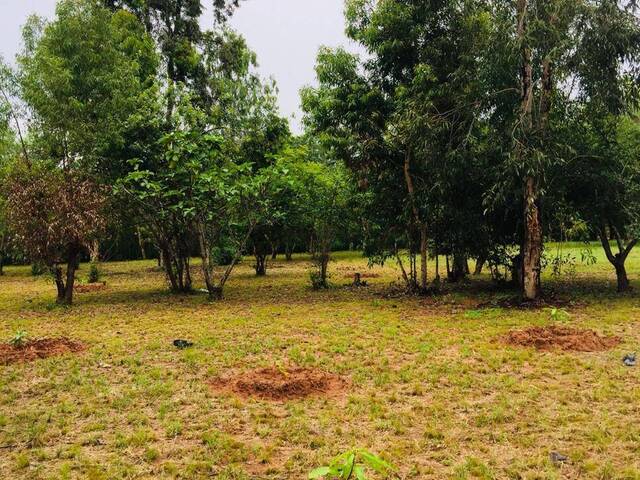 #2826 - Área para Venda em Marracuene - Maputo - 3