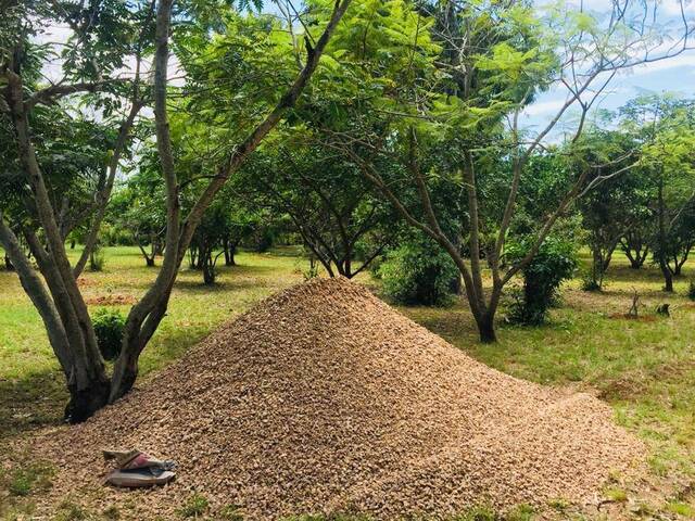 Área para Venda em Marracuene - 4