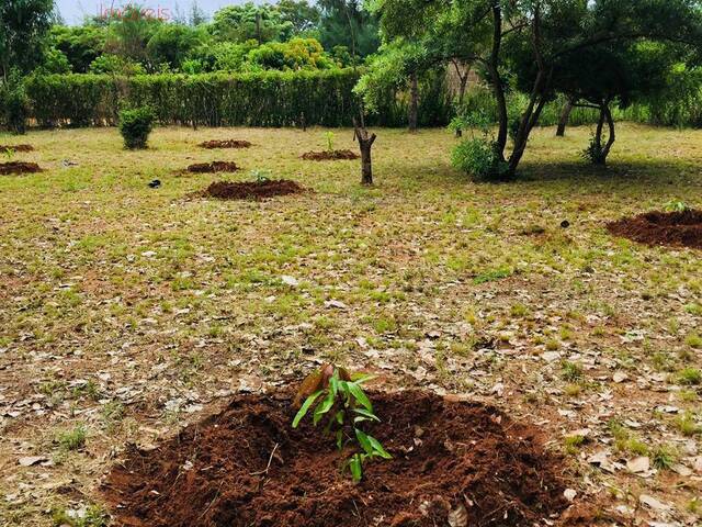 Área para Venda em Marracuene - 5