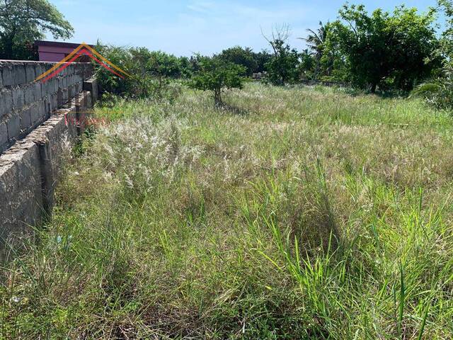 #2827 - Área para Venda em Bilene - Gaza - 3