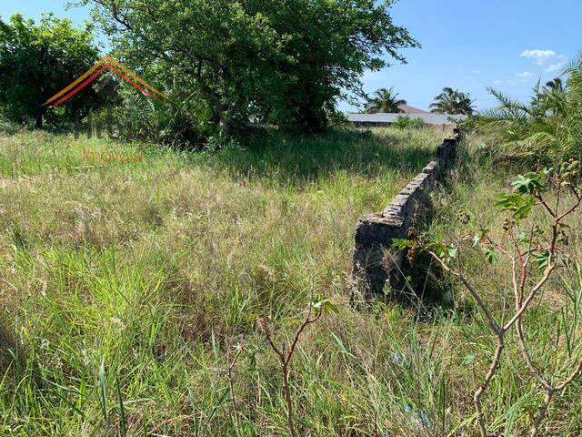 Área para Venda em Bilene - 4