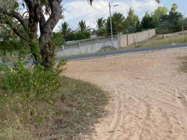 #2840 - Área para Venda em Bilene - Gaza - 1