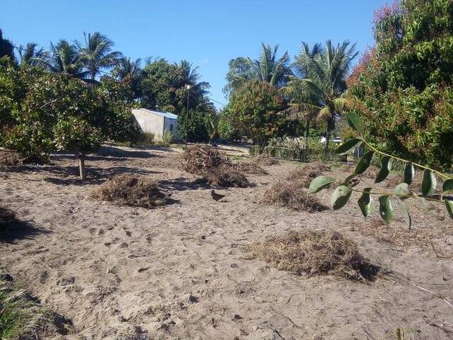 #2841 - Área para Venda em Maputo - Maputo - 2