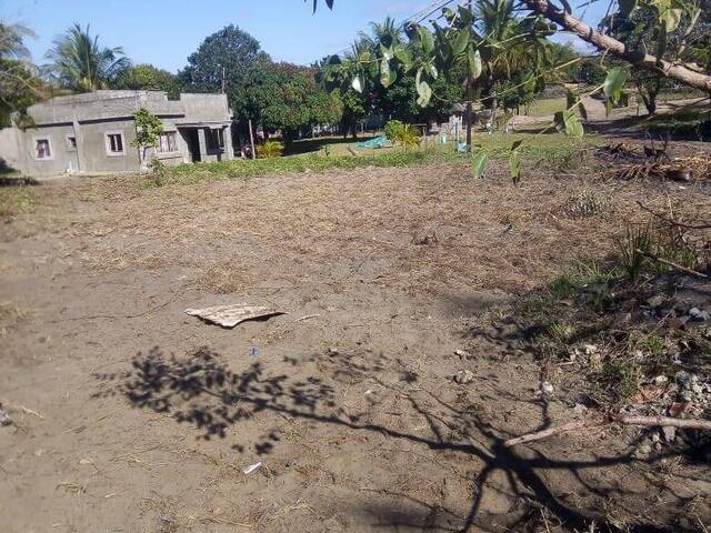 #2841 - Área para Venda em Maputo - Maputo - 3