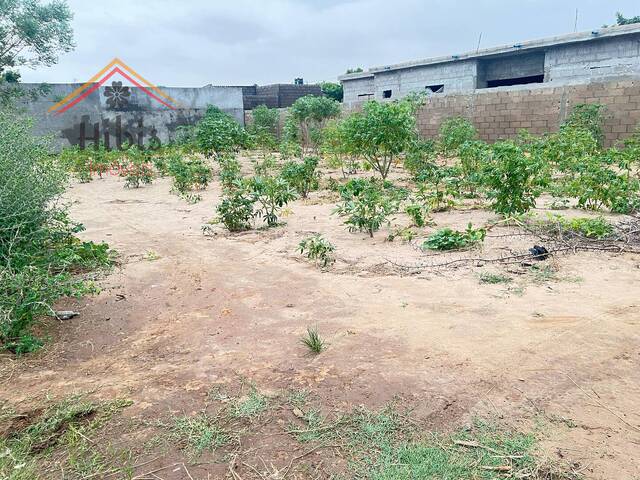 #2865 - Área para Venda em Maputo - Maputo - 3