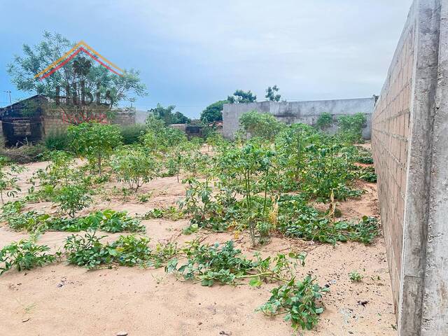 Área para Venda em Maputo - 4