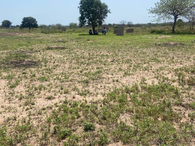 #2889 - Área para Venda em Maputo - Maputo - 2