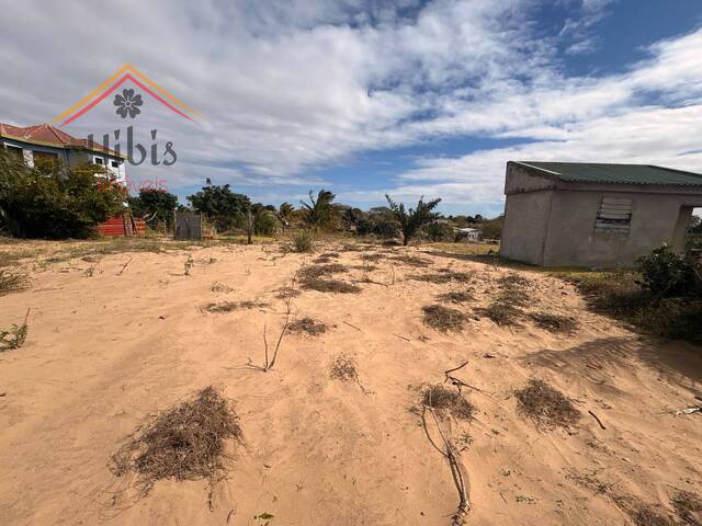 #2891 - Área para Venda em Bilene - Gaza - 2