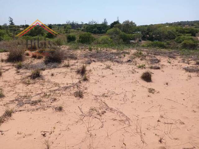 #2715 - Área para Venda em Matutuine - Maputo - 2